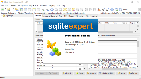 SQLite-Expert-Professional-Activator-Tested-Download